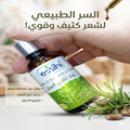 🌿 زيت إكليل الجبل لتقوية الشعر